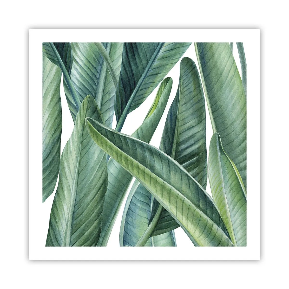 Plakat - Zieleń sama w sobie - 60x60 cm