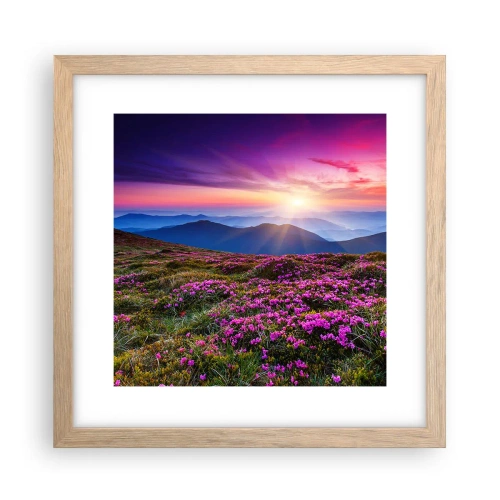 Plakat w ramie jasny dąb - Ziół zapachniały świeże pęki od niw - 30x30 cm