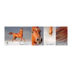 Fototapeta Próbka Standard Eco - Tańcząca gracja - Zwierzęta, Koń, Natura - 100x30 cm