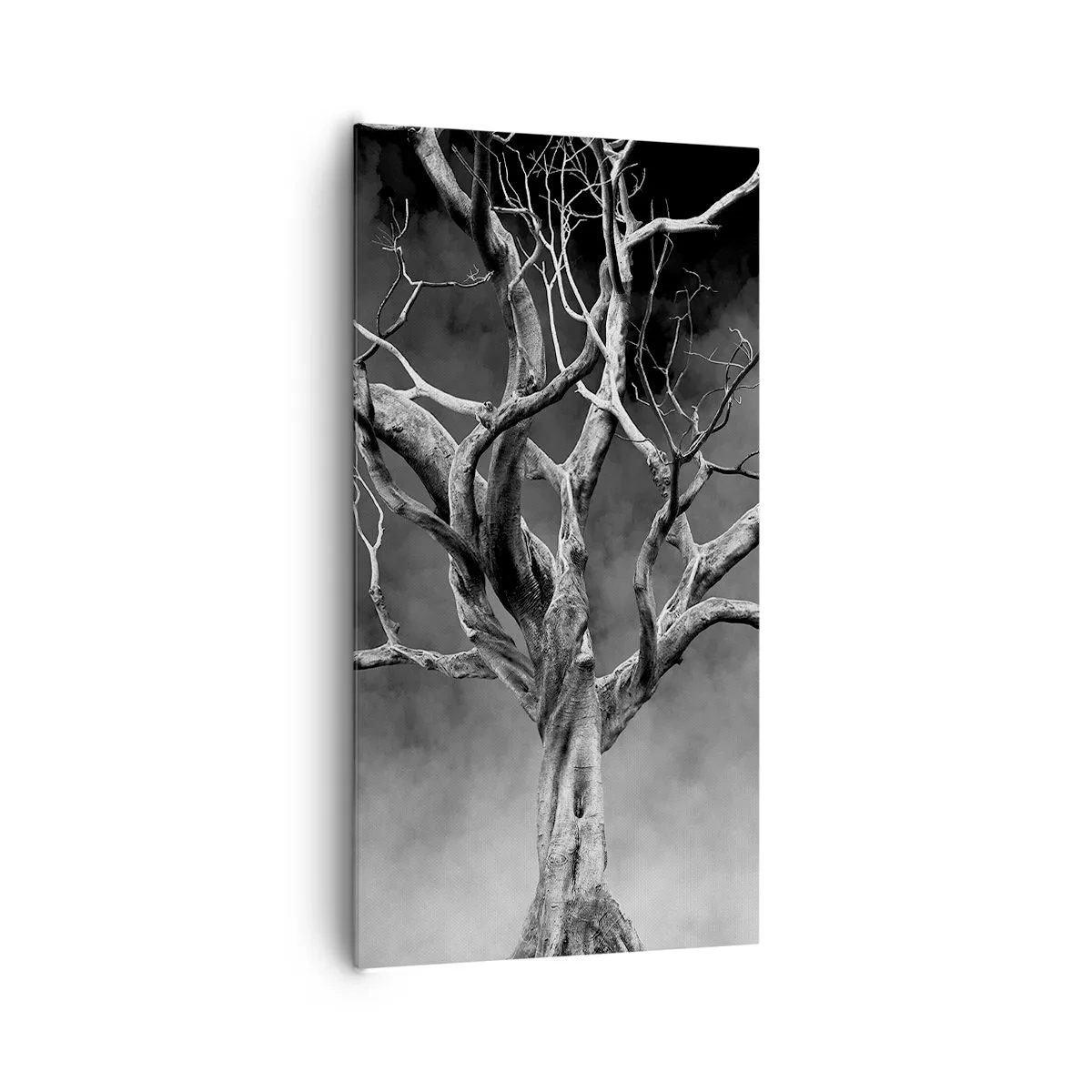 Obraz na płótnie - Pierwotne i święte - 65x120 cm