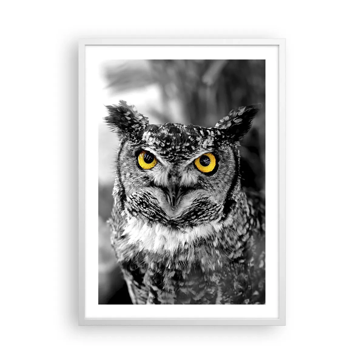 Plakat w białej ramie - Nic się nie ukryje - 50x70 cm