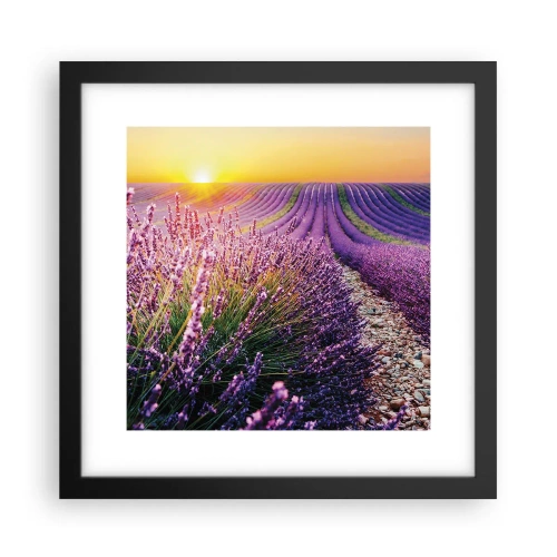 Plakat w czarnej ramie - Pachnący łan - 30x30 cm