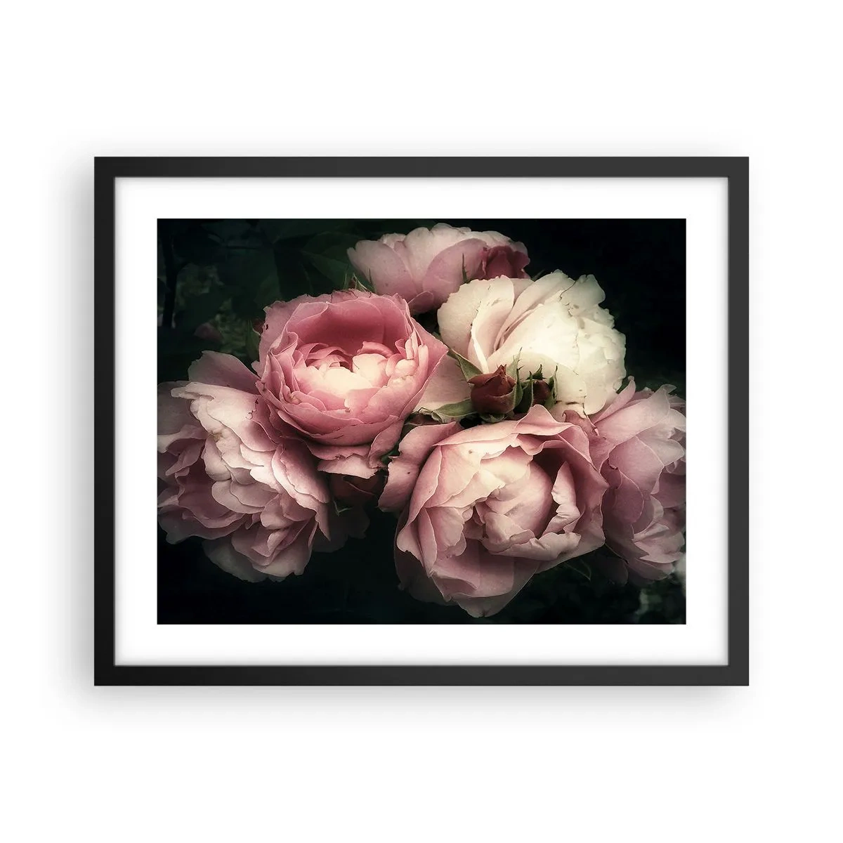 Plakat w czarnej ramie - Czar belle epoque - 50x40 cm