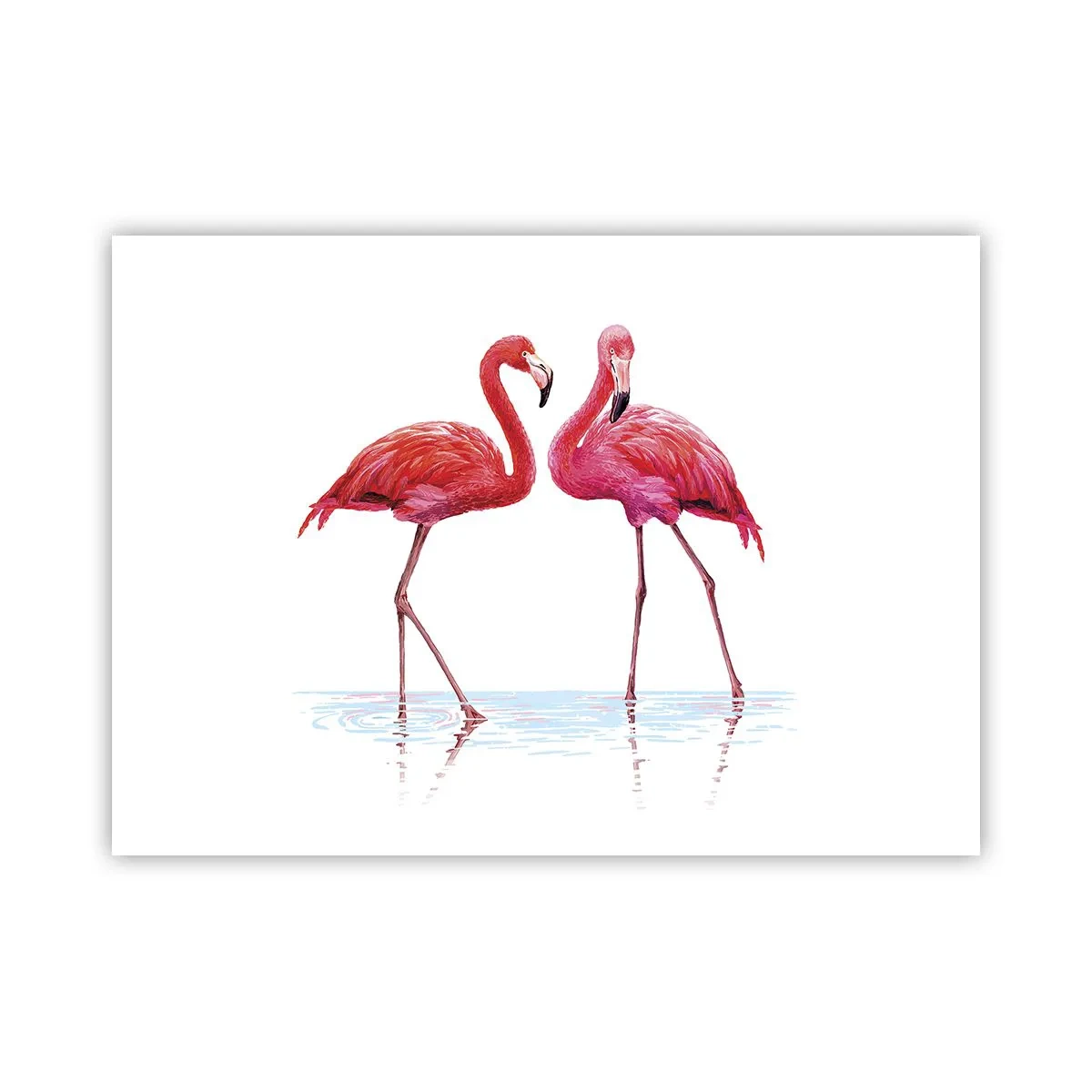 Plakat - Różowe randez-vous - 70x50 cm