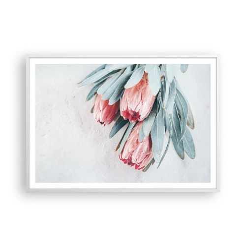 Plakat w białej ramie - Zawstydzone własną urodą - 100x70 cm