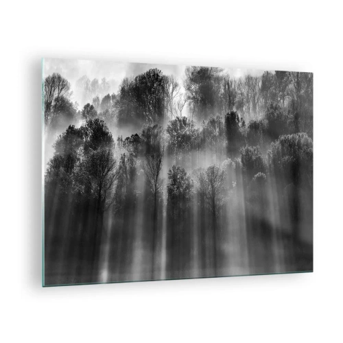 Obraz na szkle - Czarno-białe promienie światła przenikające przez las - 70x50cm - W strumieniach światła - Nowoczesna dekoracja ścienna do salonu i sypialni ARTTOR