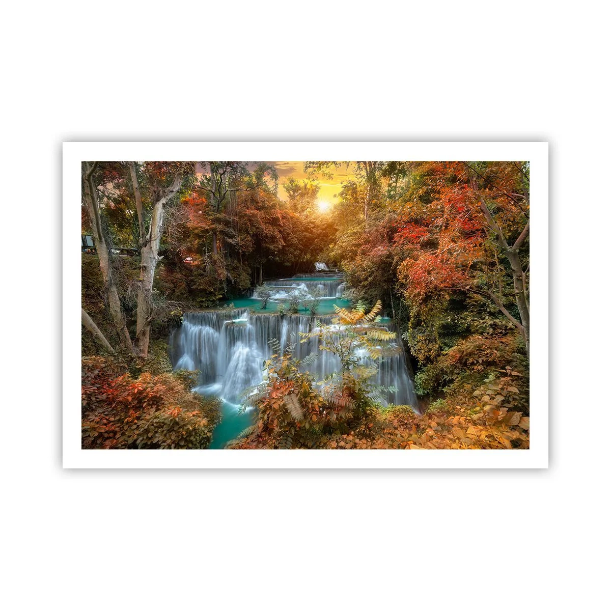 Plakat - Ukryty skarb lasu - 91x61 cm