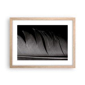 Plakat w ramie jasny dąb - Pióro – cudowna konstrukcja - 40x30 cm