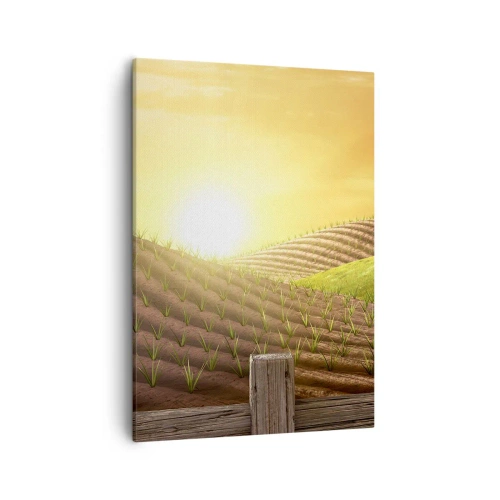 Obraz na płótnie - Zielone pola uprawne w ciepłym świetle słońca - 50x70cm - Farma jak z bajki - Nowoczesna dekoracja ścienna do salonu, kuchni i sypialni ARTTOR