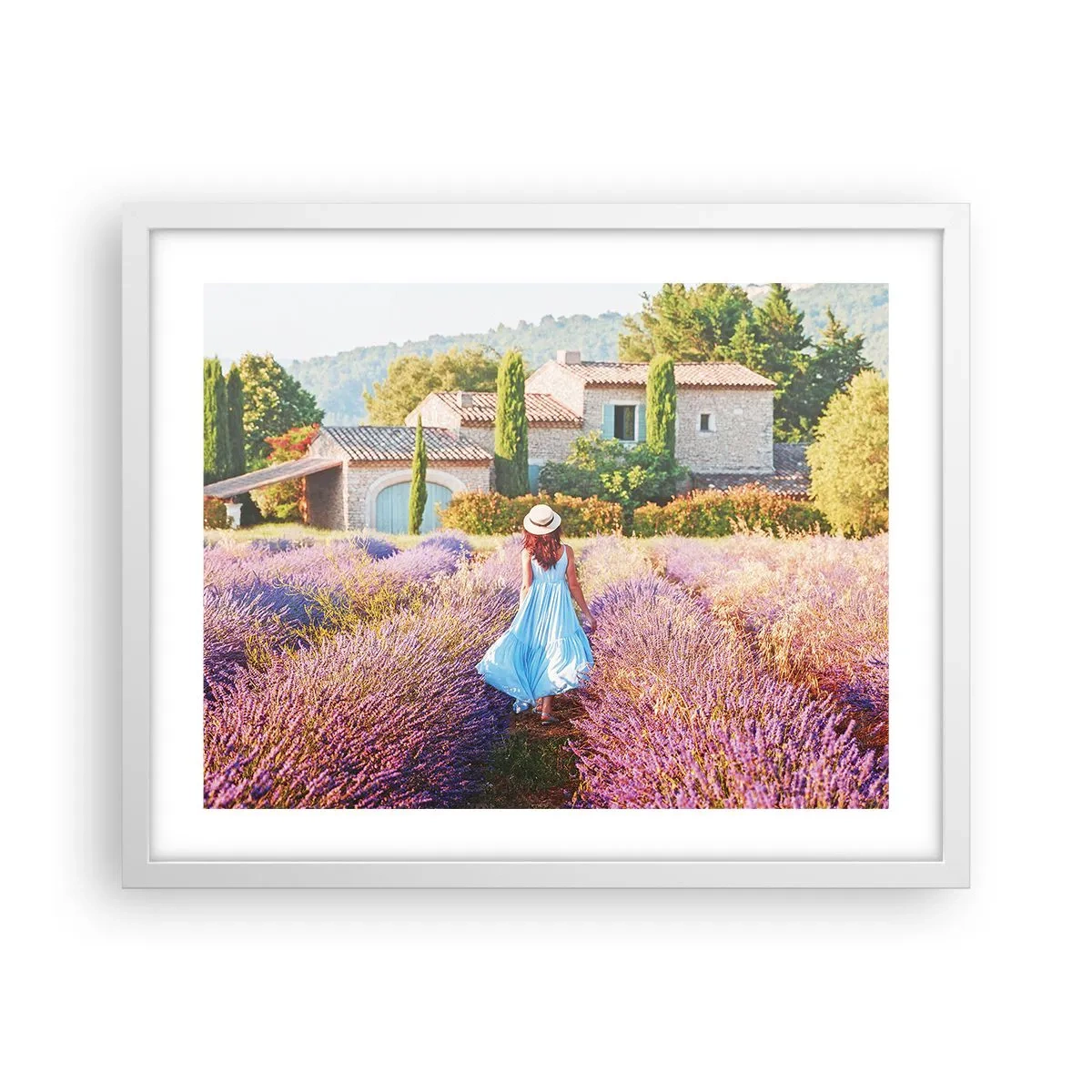 Plakat w białej ramie - Lawendowa dziewczyna - 50x40 cm