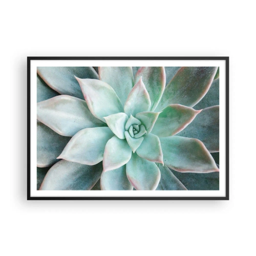 Plakat w czarnej ramie - Zbliżenie na zielony sukulent - 100x70cm - Serce pustyni - Nowoczesna dekoracja ścienna do salonu i sypialni ARTTOR