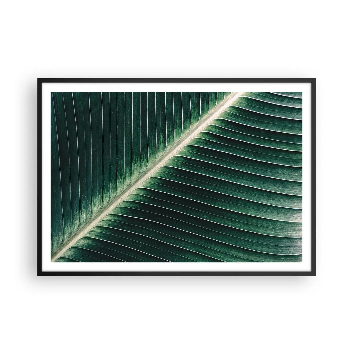 Plakat w czarnej ramie - Struktura zielonego liścia w zbliżeniu - 100x70cm - Rytm natury - Nowoczesna dekoracja ścienna do salonu i sypialni ARTTOR