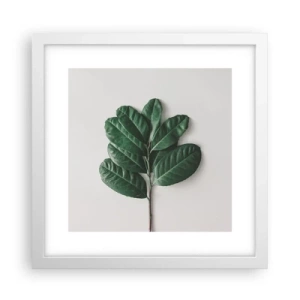 Plakat w białej ramie - Rysunek samej natury - 30x30 cm
