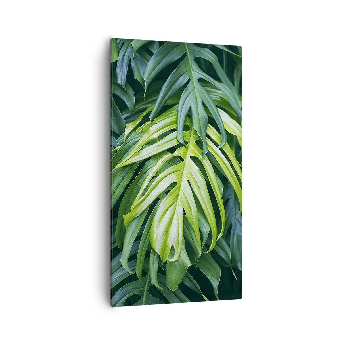 Obraz na płótnie - Zanurzyć się w świeżości - 55x100 cm