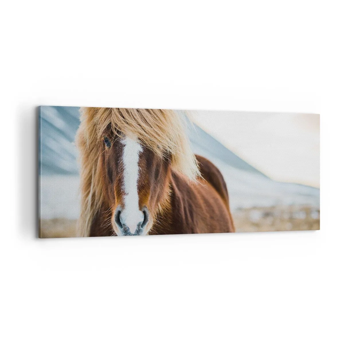 Obraz na płótnie - Czujesz wolność? - 100x40 cm