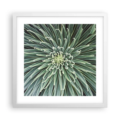 Plakat w białej ramie - Narodziny gwiazdy - 40x40 cm