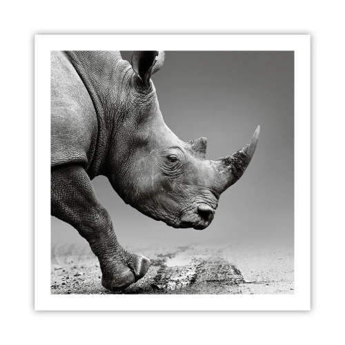 Plakat - Niepowstrzymana siła - 60x60 cm