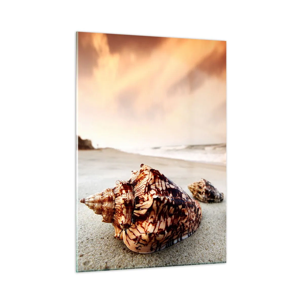Obraz na szkle - Muszle na plaży o zachodzie słońca - 50x70cm - Wygnanki fal - Nowoczesna dekoracja ścienna do salonu, kuchni i sypialni ARTTOR