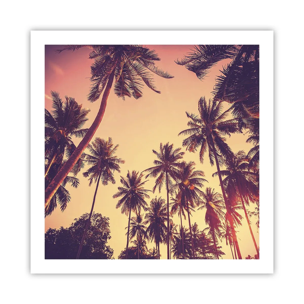 Plakat - Tropikalna wariacja - 60x60 cm