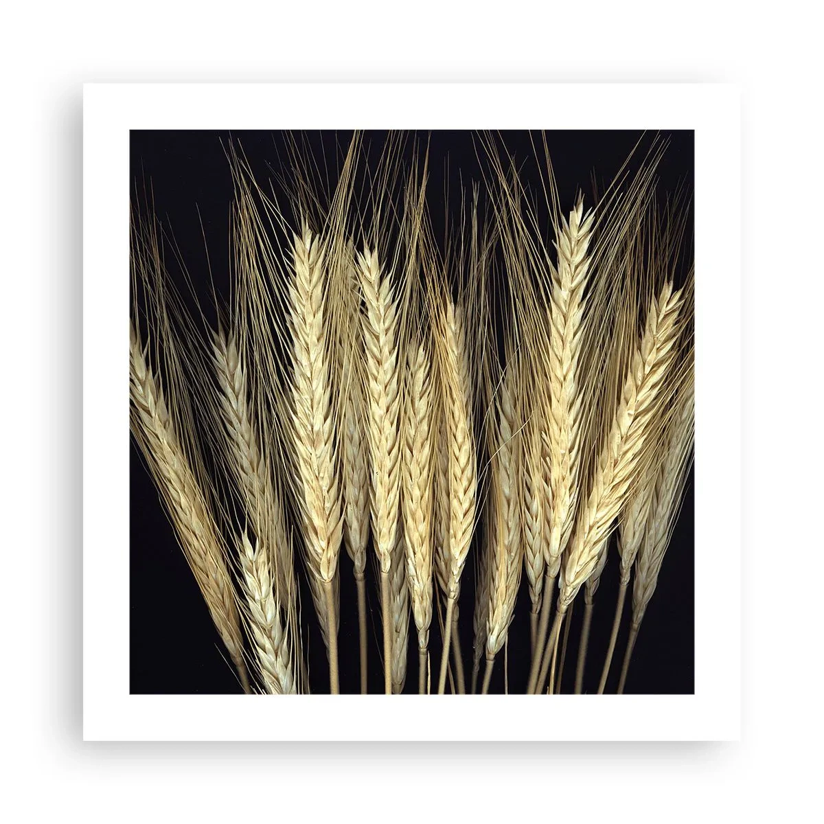 Plakat - Rustykalna magia - 50x50 cm