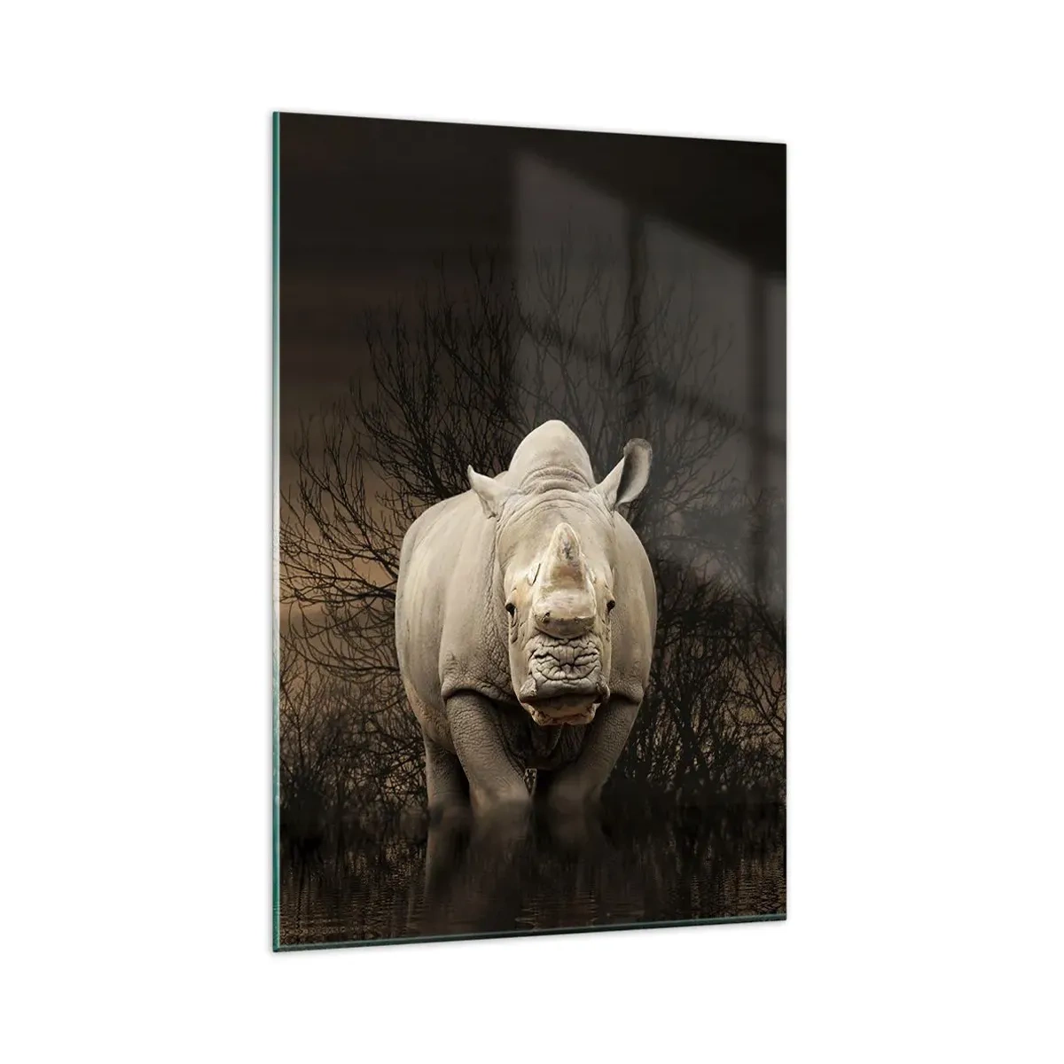 Obraz na szkle - Nosorożec wśród drzew o zachodzie słońca, dzika natura. - 80x120cm - Biały przeciw naturze - Nowoczesna dekoracja ścienna do salonu i sypialni ARTTOR