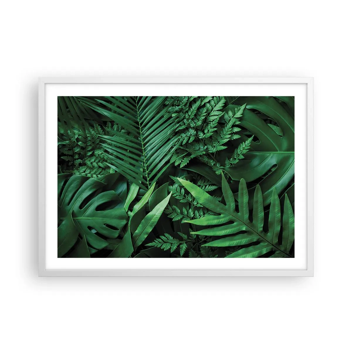 Plakat w białej ramie - Utulone w zieleni - 70x50 cm
