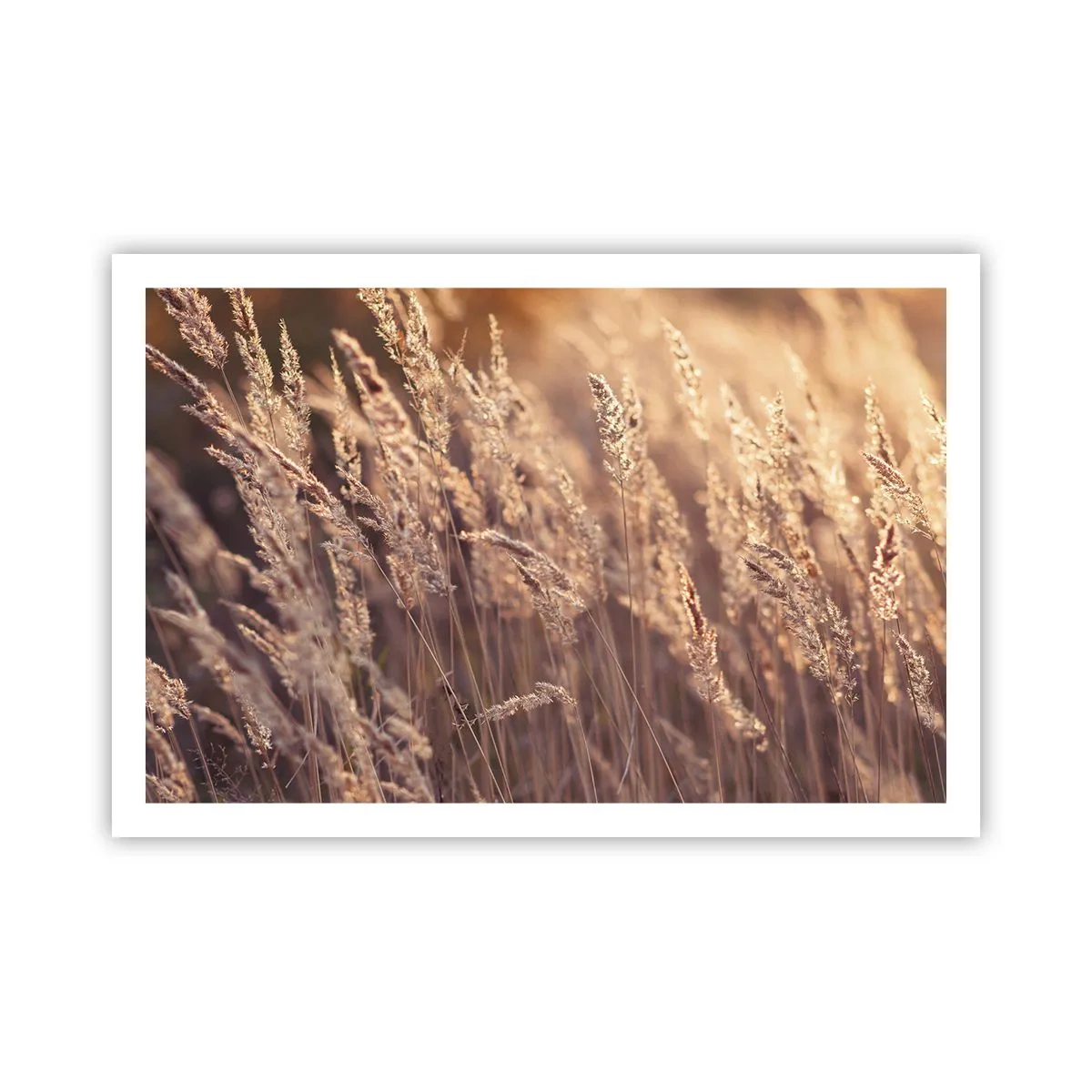 Plakat - Gotowe na powitanie jesieni - 91x61 cm