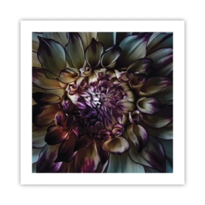 Plakat - Rozkwit młodości - 50x50 cm