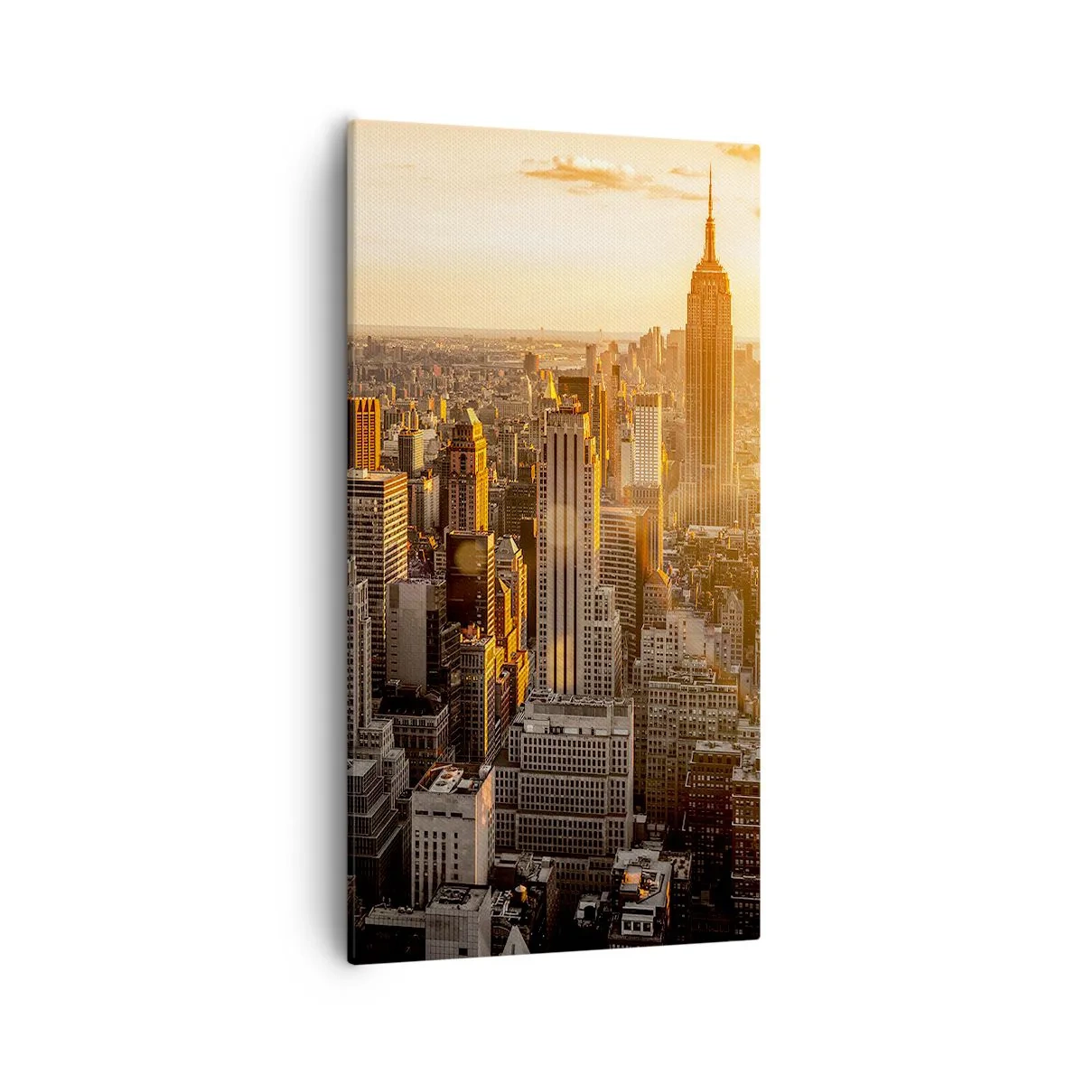 Obraz na płótnie - Rosnąc w słońcu - 55x100 cm