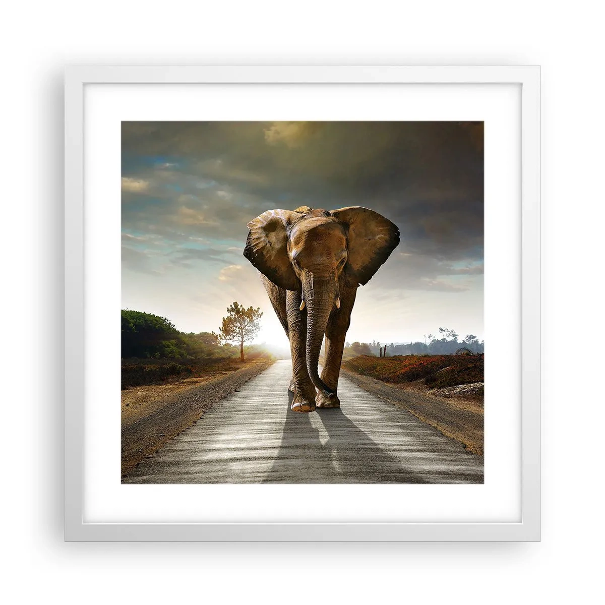 Plakat w białej ramie - I wcale nie w składzie porcelany - 40x40 cm