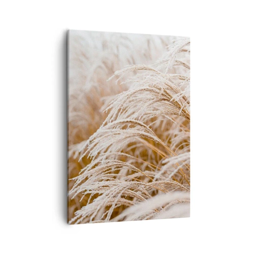 Obraz na płótnie - Suszone trawy pokryte delikatnym szronem w jesiennym świetle - 50x70cm - Pokłon jesiennemu słońcu - Nowoczesna dekoracja ścienna do salonu, kuchni i sypialni ARTTOR