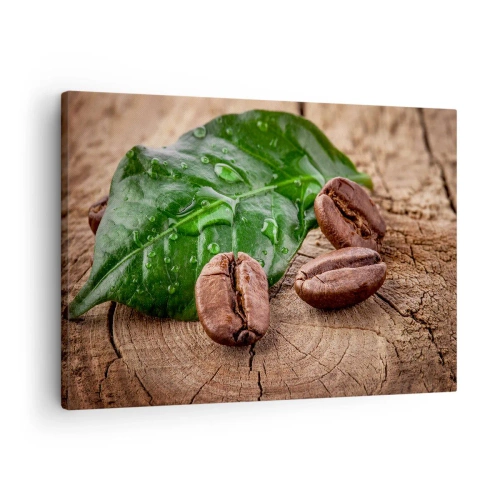 Obraz na płótnie - Ziarna kawy i zielony liść na drewnianym tle - 70x50cm - Najprawdziwsza i czarna - Nowoczesna dekoracja ścienna do salonu i sypialni ARTTOR