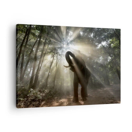 Obraz na płótnie - Słoń w lesie otoczony promieniami światła w porannej mgle - 70x50cm - Pod szczęśliwą gwiazdą - Nowoczesna dekoracja ścienna do salonu i sypialni ARTTOR