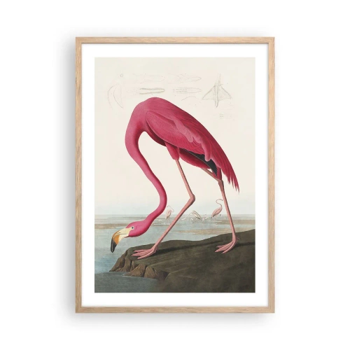 Plakat w ramie jasny dąb - Zadziwiające stworzenie - 50x70 cm