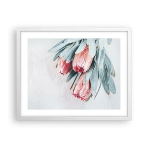 Plakat w białej ramie - Zawstydzone własną urodą - 50x40 cm