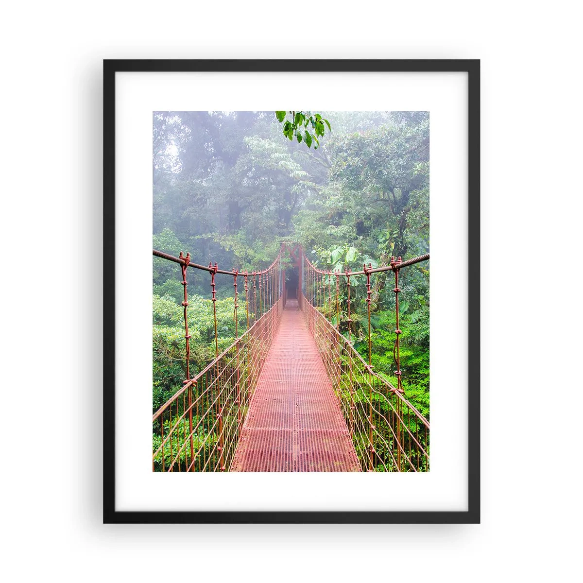 Plakat w czarnej ramie - Zawieszony nad koronami - 40x50 cm