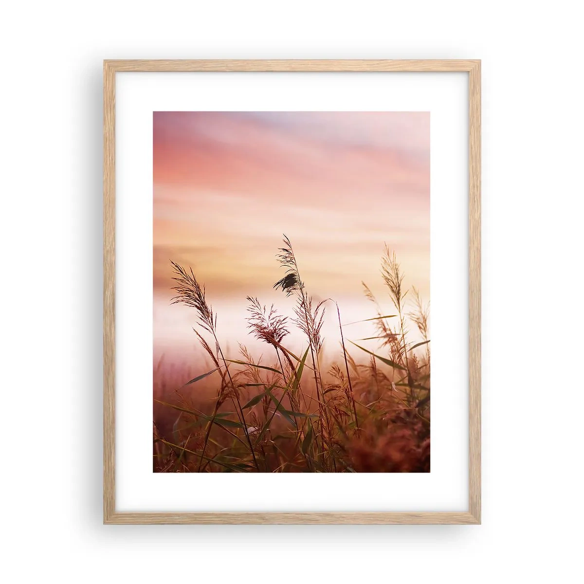 Plakat w ramie jasny dąb - Latawce, dmuchawce, wiatr - 40x50 cm