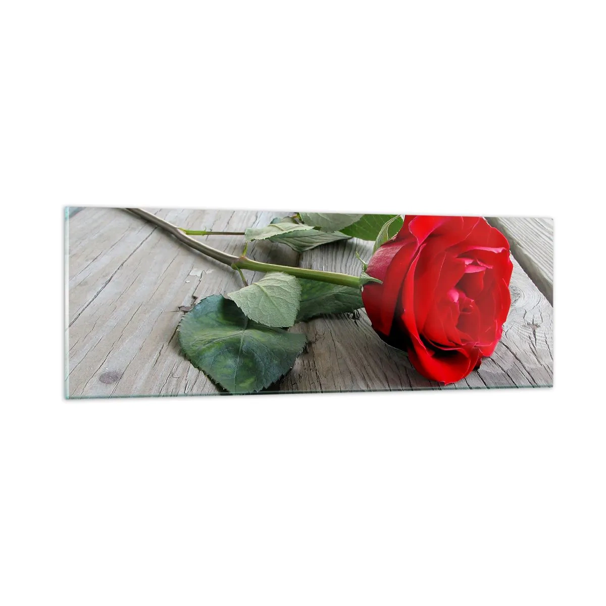 Obraz na szkle - Studium w szkarłacie - 90x30 cm