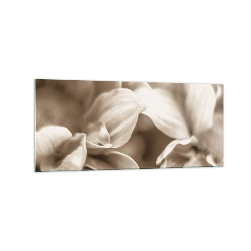 Obraz na szkle - Zbliżenie kwiatów w delikatnej sepii o miękkich konturach - 120x50cm - Łagodne jak uśmiech - Nowoczesna dekoracja ścienna do salonu i sypialni ARTTOR