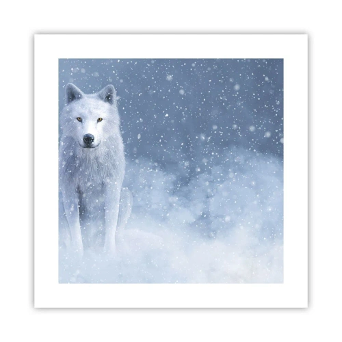 Plakat - W zimowym duchu - 40x40 cm
