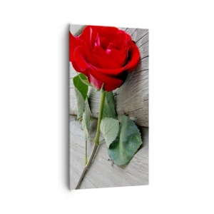 Obraz na płótnie - Studium w szkarłacie - 65x120 cm