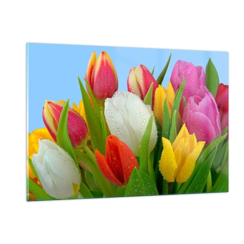 Obraz na szkle - Kolorowe tulipany pokryte kroplami rosy na tle błękitu - 120x80cm - Kwiatowa tęcza w kroplach rosy - Nowoczesna dekoracja ścienna do salonu, kuchni i sypialni ARTTOR