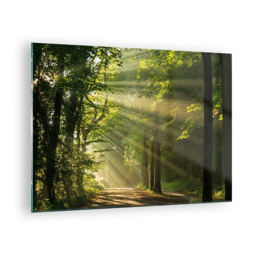 Obraz na szkle - Leśna ścieżka oświetlona promieniami słońca - 70x50cm - Leśna chwila - Nowoczesna dekoracja ścienna do salonu i sypialni ARTTOR