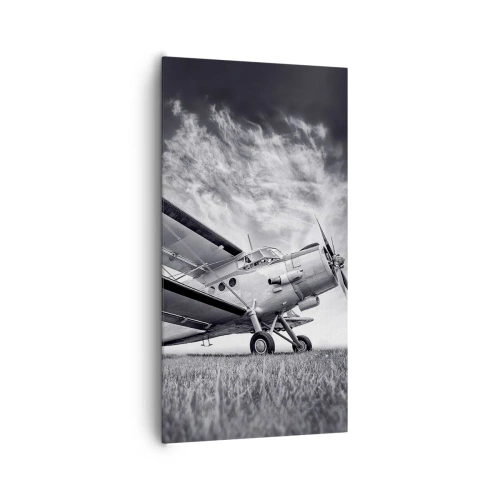 Obraz na płótnie - Skrzydlaty wędrowiec - 65x120 cm
