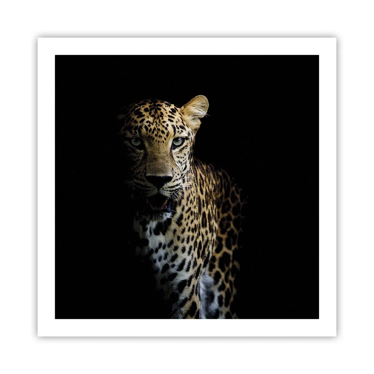 Plakat - Mroczne piękno - 60x60 cm