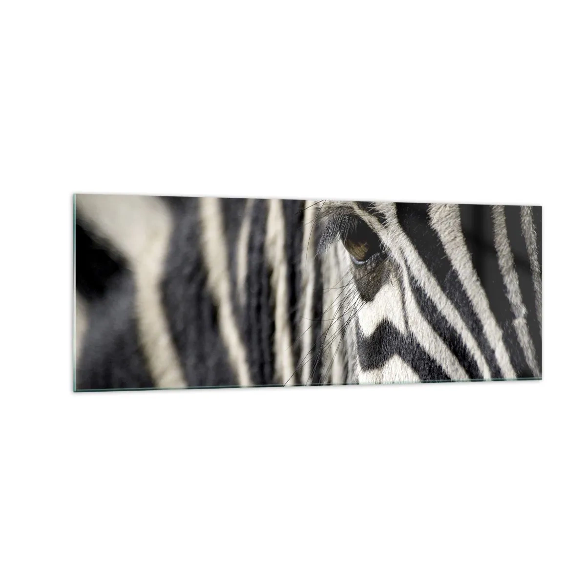 Obraz na szkle - Zbliżenie oka zebry z czarno-białymi pasami - 140x50cm - Portret w paski - Nowoczesna dekoracja ścienna do salonu i sypialni ARTTOR
