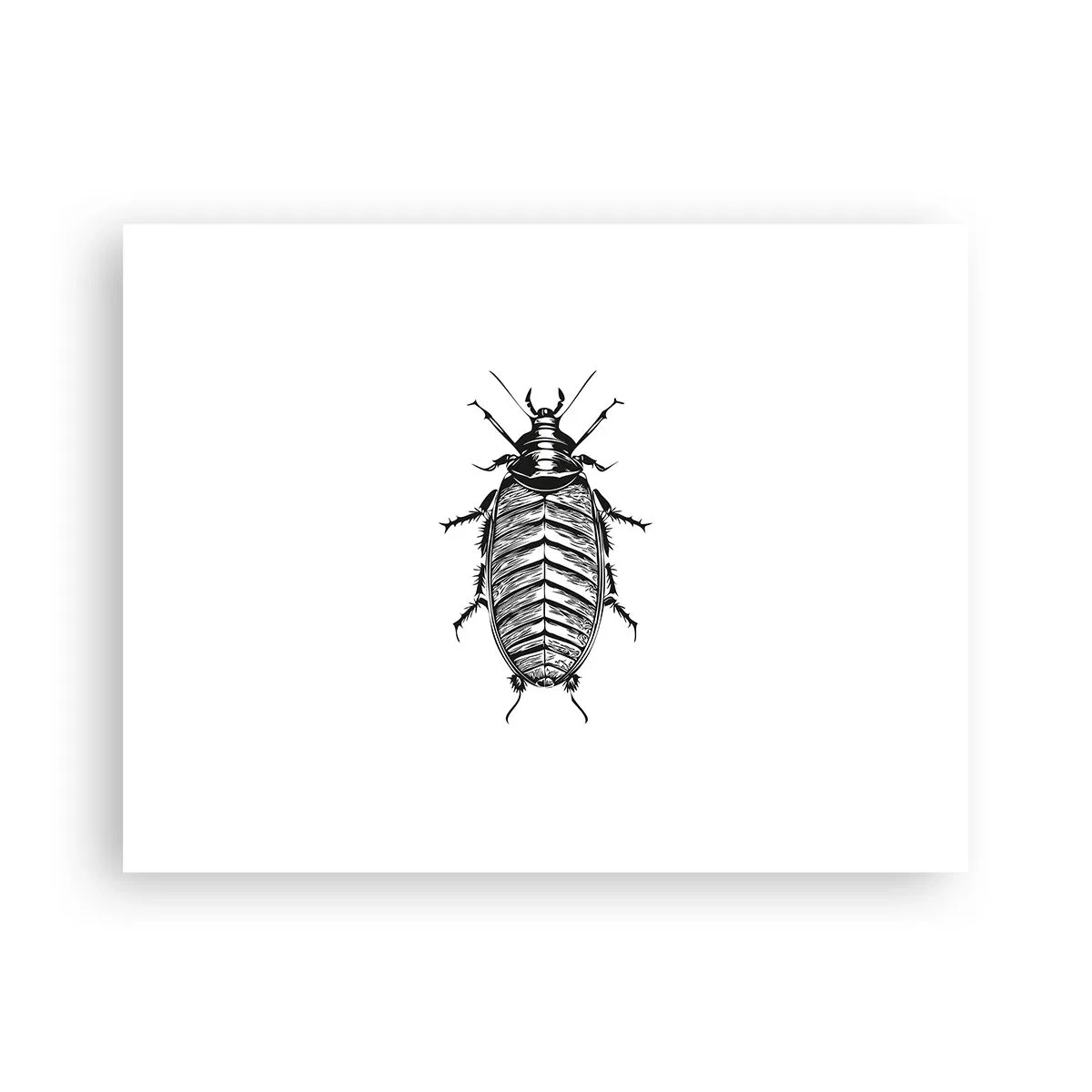 Plakat - Co za okaz! - 40x30 cm