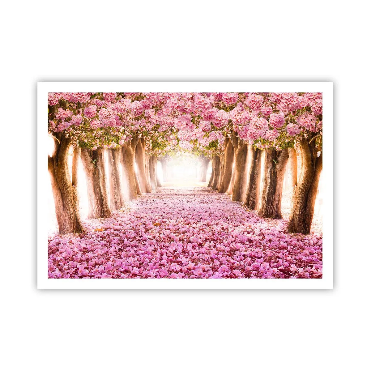 Plakat - Aleja kwitnących drzew w odcieniach różu - 100x70cm - Droga do raju - Nowoczesna dekoracja ścienna do salonu i sypialni ARTTOR