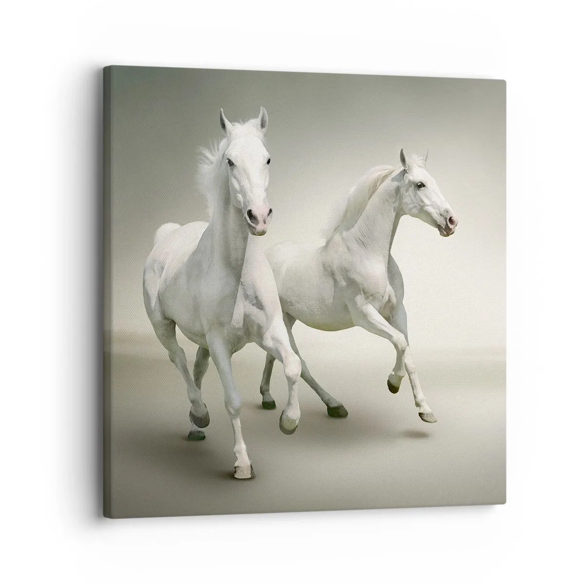 Obraz na płótnie - White power! - 30x30 cm