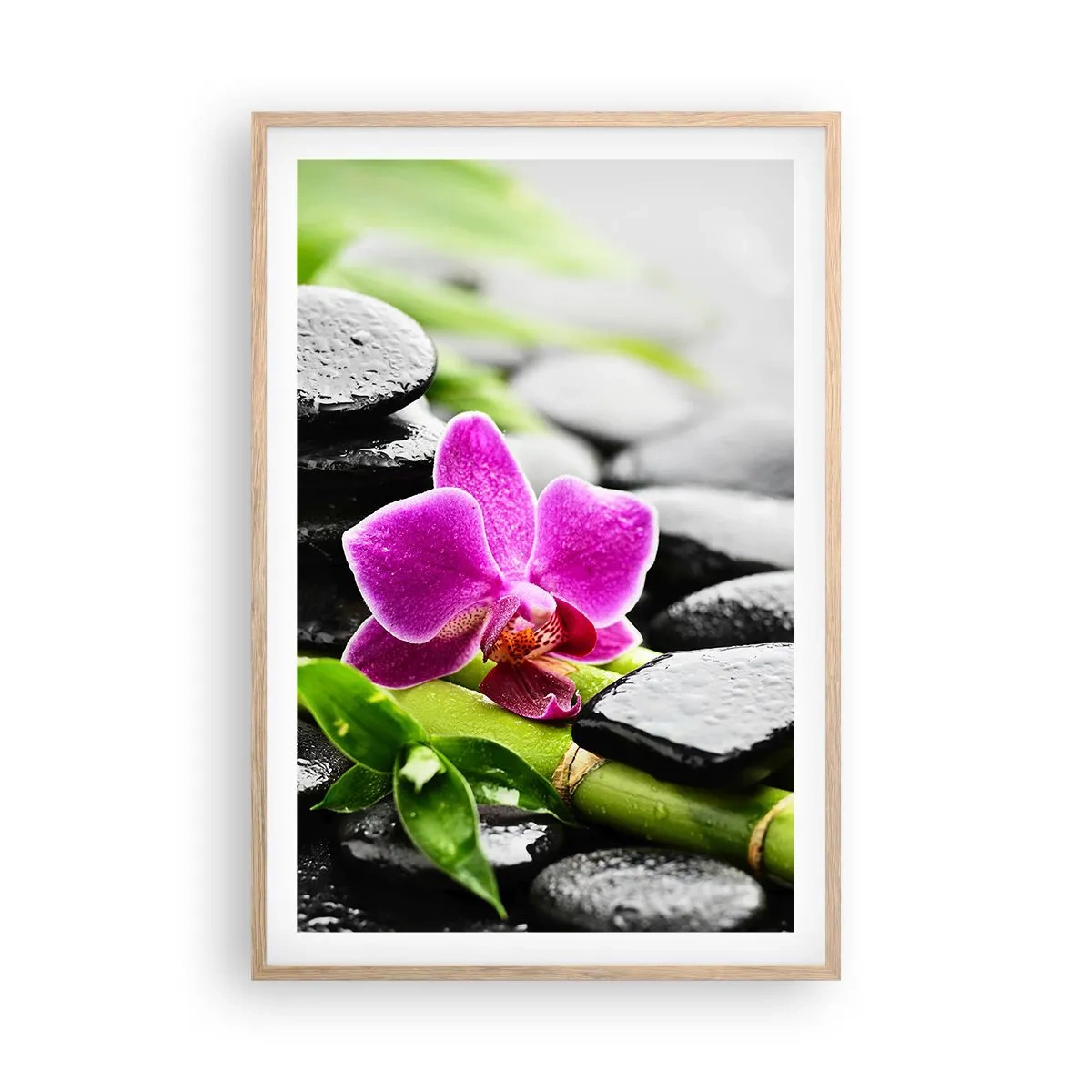 Plakat w ramie jasny dąb - W spokojnej równowadze - 61x91 cm